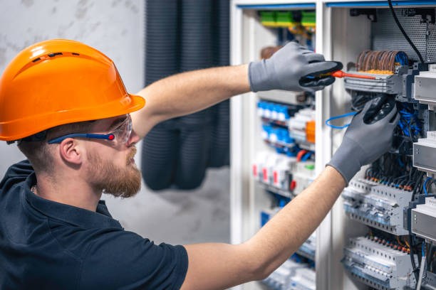 Best Electric Panel Repair  in Bushnell, FL